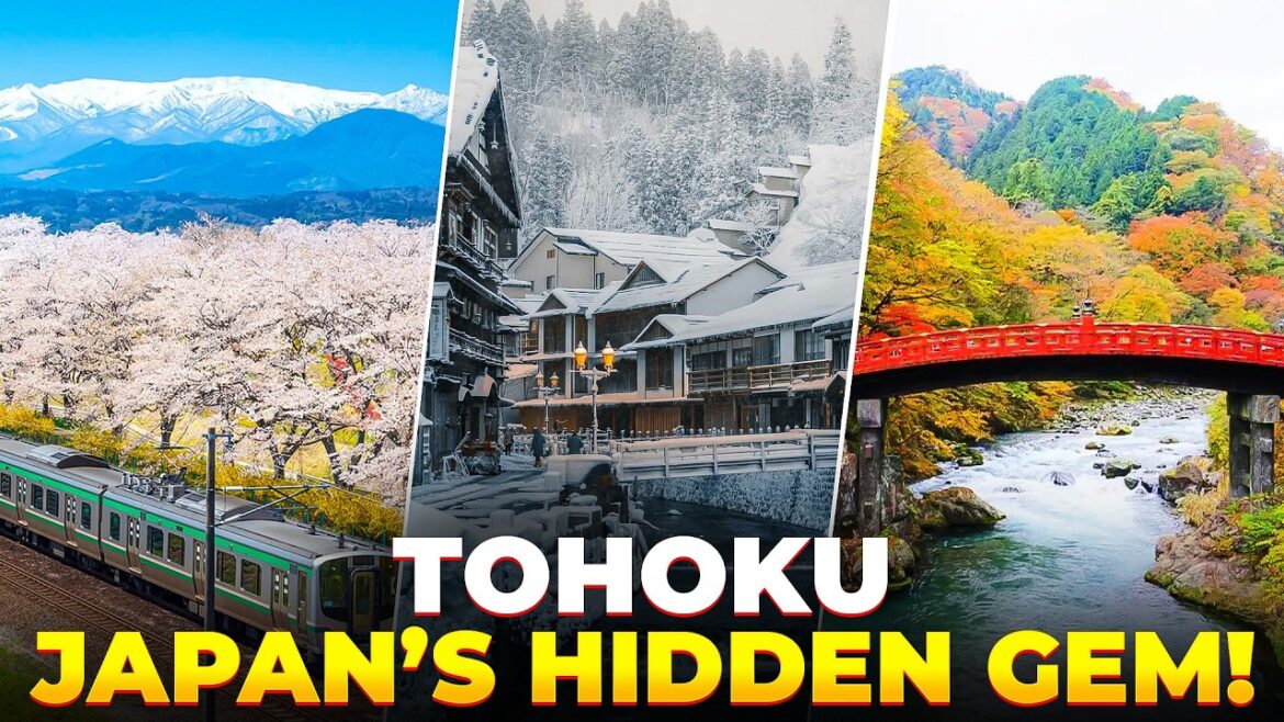Tohoku: Japan’s Most Underrated Region for Food & Travel!