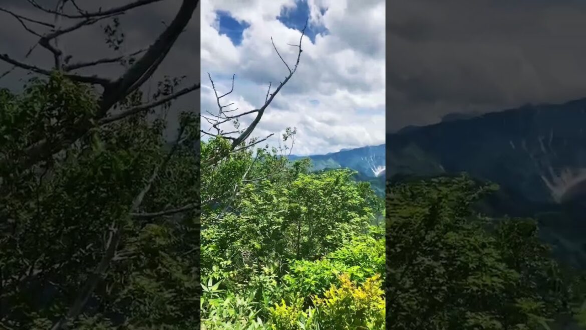 【JAPAN】Must-See picturesque View Spot - Hakuba