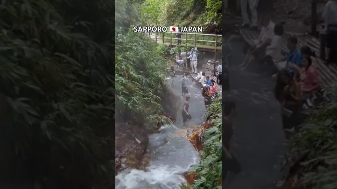 Sapporo 🇯🇵 Japan #travel #explore #japan #sapporo