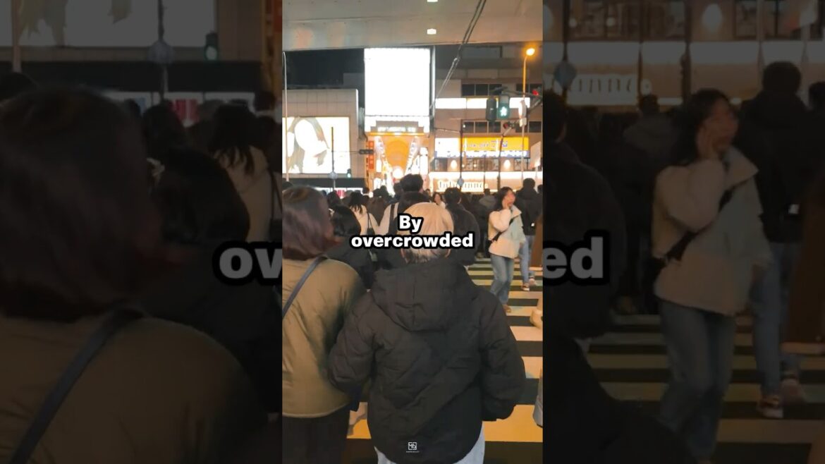 3 Peaceful and quiet spots in Japan #japan #travel #spots