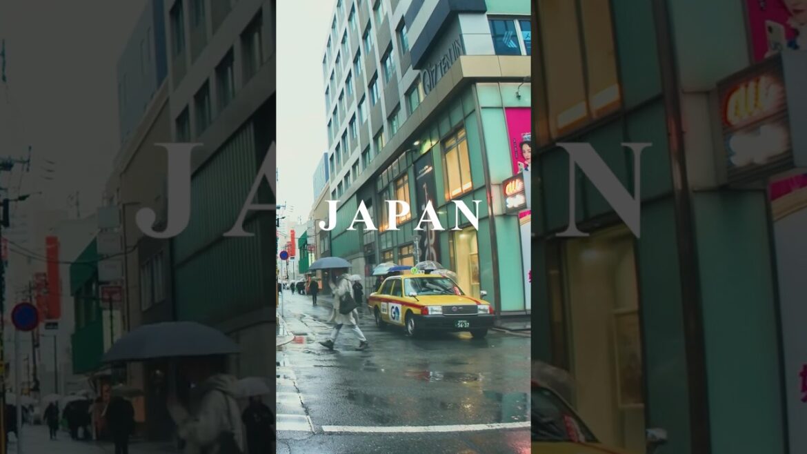 🇯🇵Japan's Fukuoka Daimyo Street | 일본 후쿠오카 다이묘거리 | Rua Daimyo de Fukuoka, Japão #japan #fukuoka