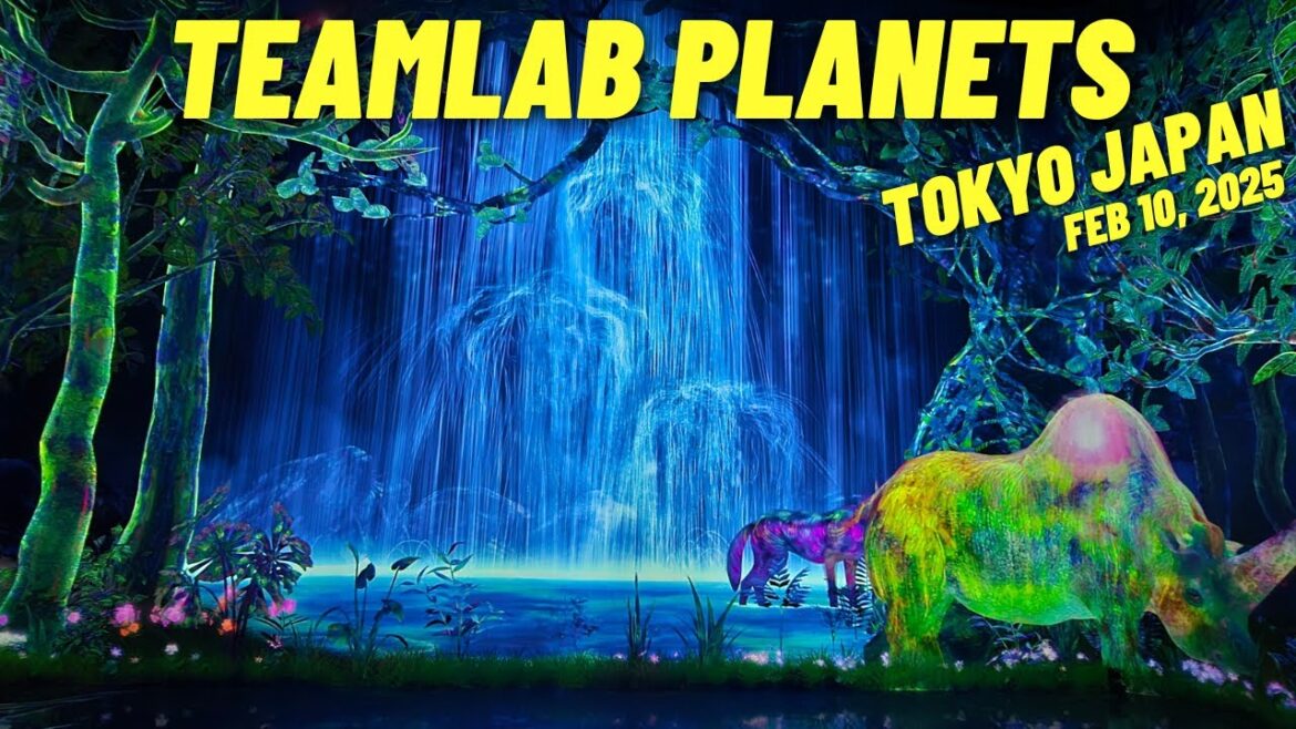 My experience at TeamLab Planets in Tokyo Japan & Walk-through February 2025 | 2/10/2025