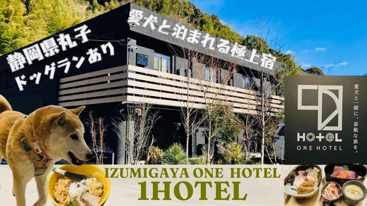 【愛犬と泊まれる宿】静岡「1HOTEL」宿泊レポ|快適すぎる施設・食事・観光を徹底解説 【愛犬と泊まれる宿】静岡「1HOTEL」宿泊レポ|快適すぎる施設・食事・観光を徹底解説