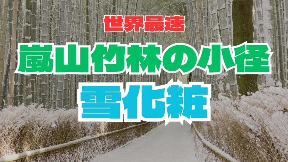 [2月8日]雪化粧した白銀の京都嵐山！竹林の小径が美しすぎる！世界最速投稿