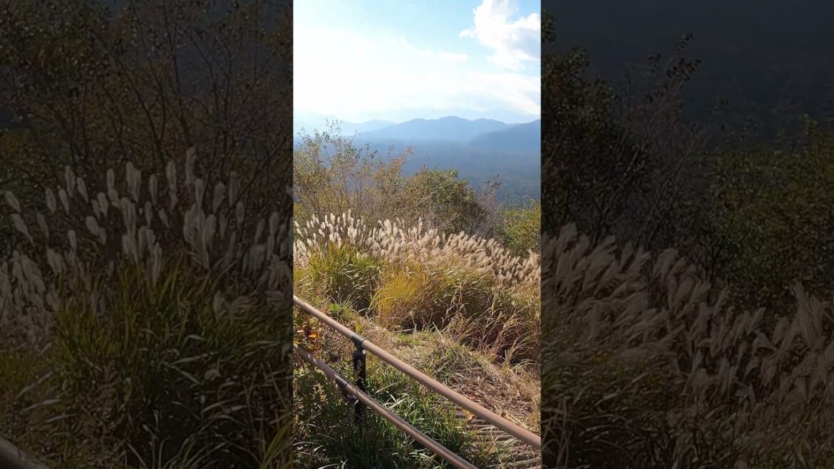Japan:  Exhausting walk to see Fuji volcano at Fuji-Hakone-Izu National Park Japan:  Exhausting walk to see Fuji volcano at Fuji-Hakone-Izu National Park