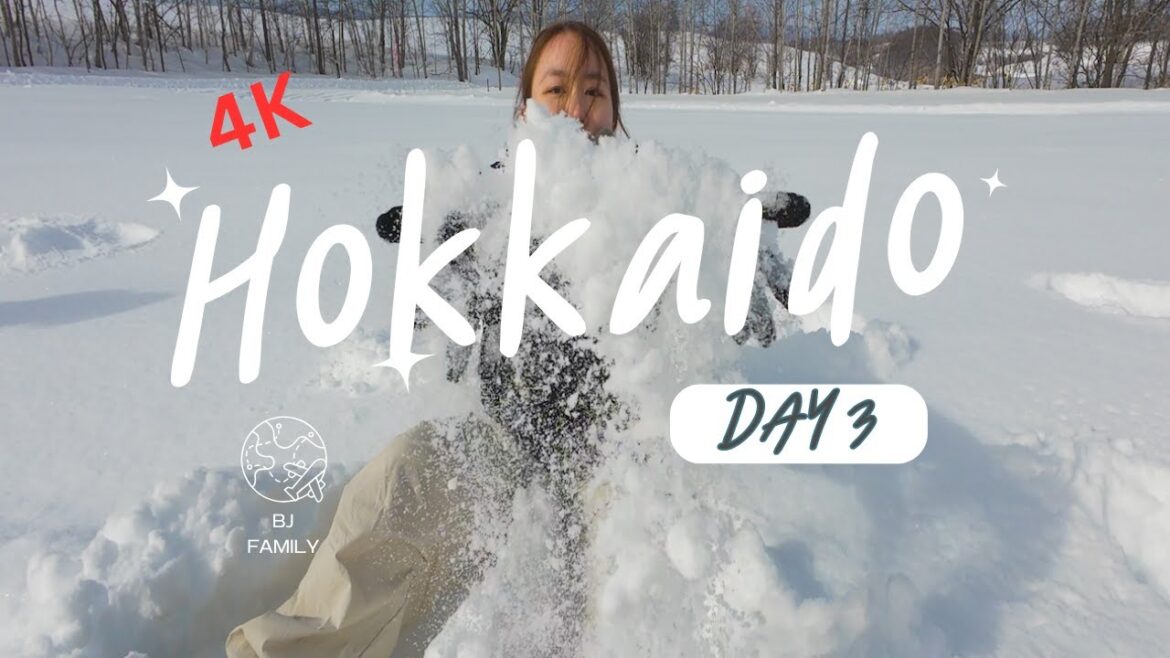 Hokkaido Day 3 - Feb 8, 2025 - Version 2 4K