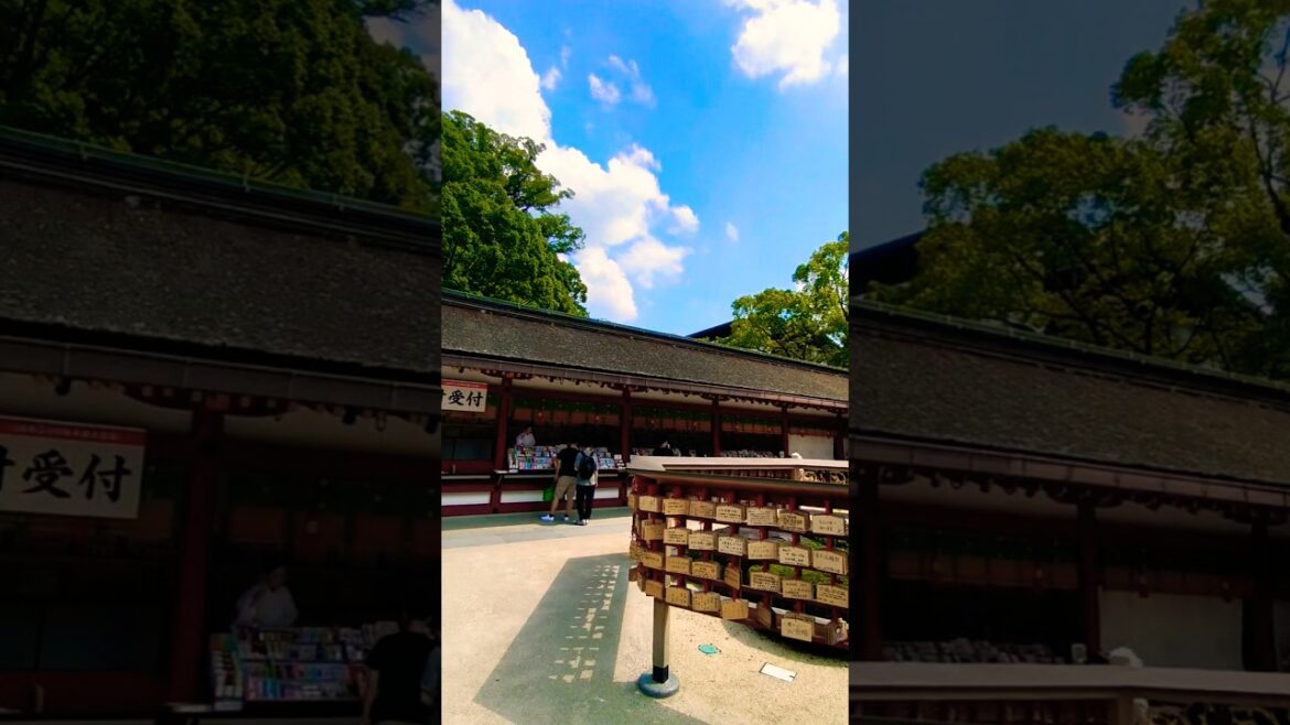 Dazaifu Tenmangu 太宰府天満宮太宰府天満宮 #fukuoka #temple #japan