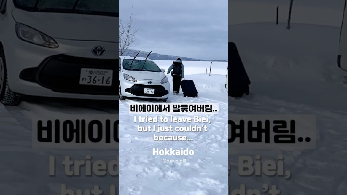 Hokkaido | 홋카이도, 비에이를 못 떠나는 이유 | Can’t leave Biei #shorts #japan Hokkaido | 홋카이도, 비에이를 못 떠나는 이유 | Can't leave Biei #shorts #japan