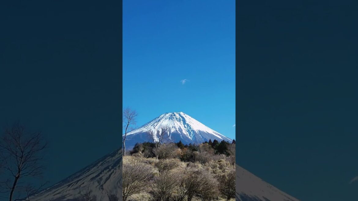 富士山 fuji mountain 富士山 fuji mountain