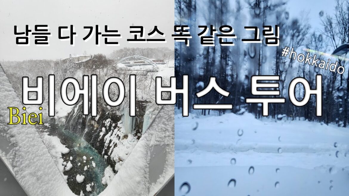 ❄️홋카이도 비에이 버스 투어 겨울 팁! [biei 탁신관 흰수염폭포 닝구르테라스  아는 풍경이라도 좋았다] #hokkaido #snow #biei #travel