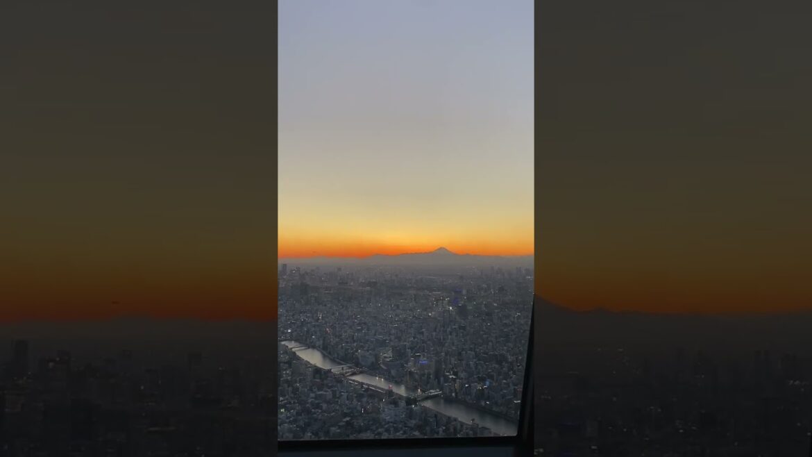 #mountfuji #tokyoskytree #japan #japantravel #myheroacademia #anime #tokyo #travel #earth #beauty #u