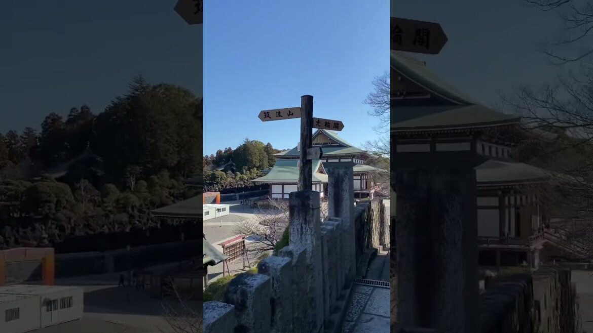千葉県　成田山新勝寺