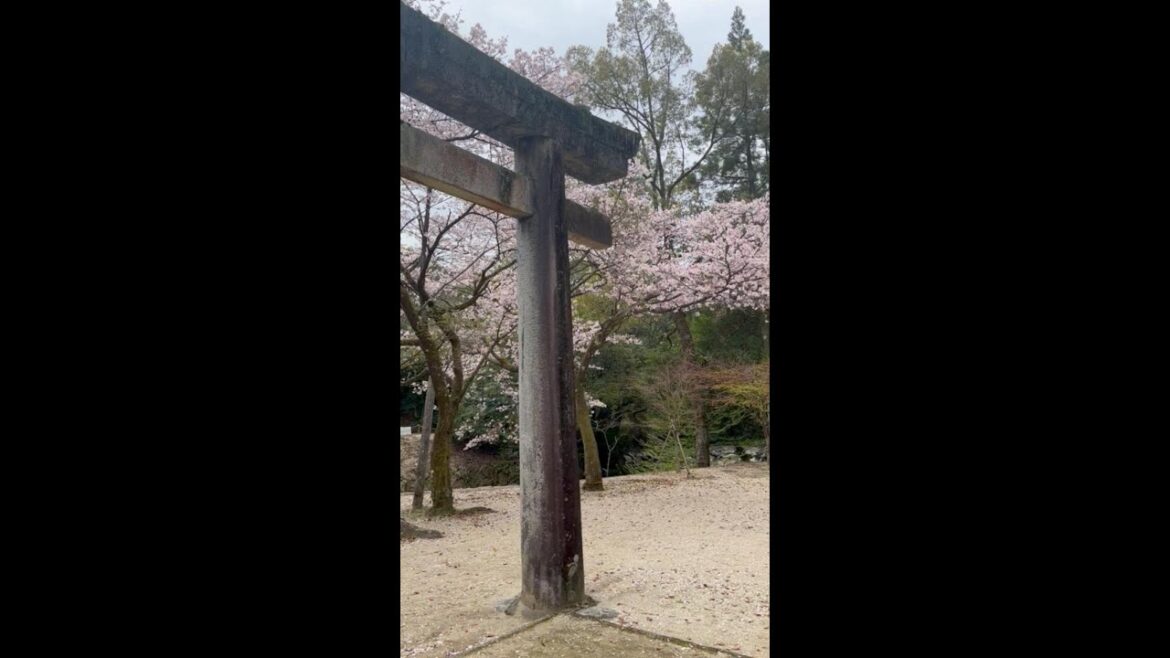 Whispers of Kyushu: Countryside, Shrines & Streams