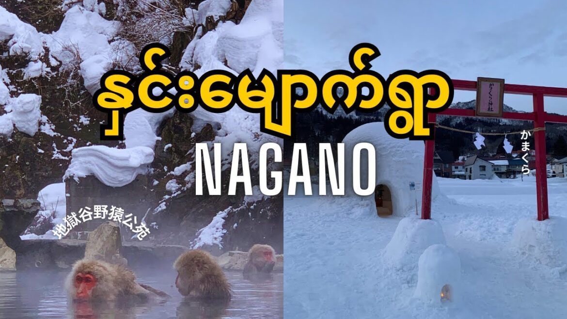 Snow Monkeys & Kamakura Wonderland βοΈ | A Magical Winter Journey in Nagano! Snow Monkeys & Kamakura Wonderland βοΈ | A Magical Winter Journey in Nagano!