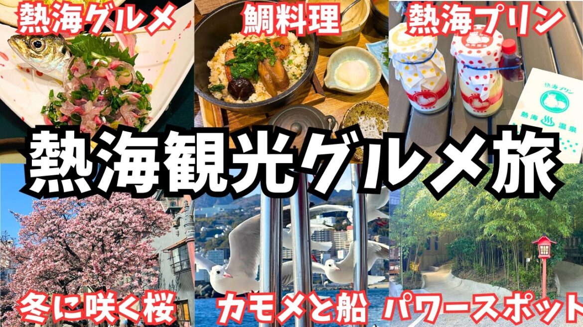 【熱海観光】熱海旅行でコスパ最強グルメを堪能！冬に咲く桜やパワースポットも発見