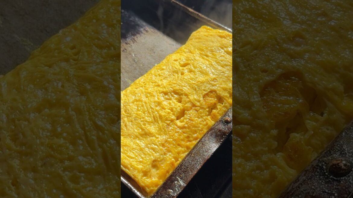 FISH IS MY LIFE - Sashimi and Sushi Master in Kagoshima#8