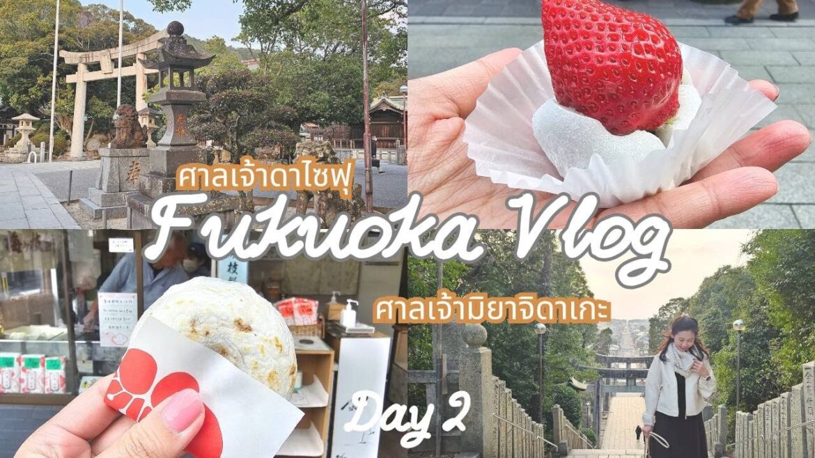 Fukuoka Trip 2025 Day2|เที่ยวศาลเจ้าดาไซฟุ ศาลเจ้ามิยาจิดาเกะ กินของอร่อยเพียบ เนื้อย่างเน้นๆ