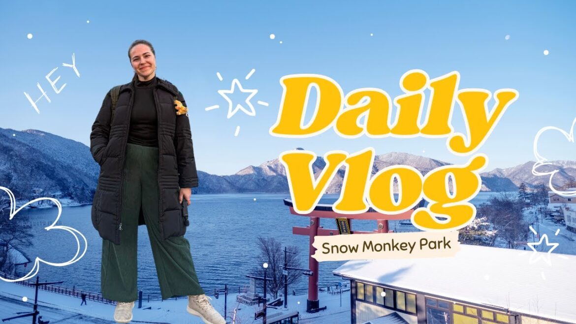 Yamanouchi, Japan: Snow Monkey Park