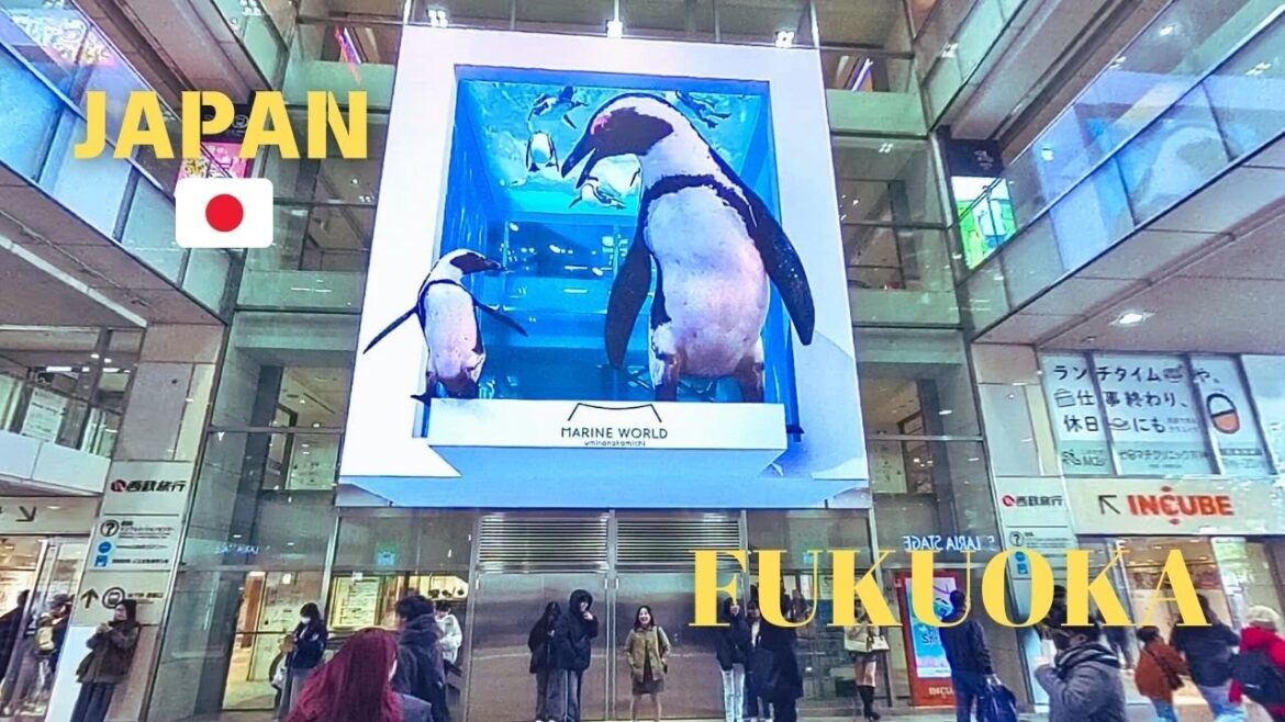 4K 60 HDR Virtual Walk: Exploring the Vibrant Streets of Tenjin, Fukuoka City, Kyushu, Japan! 4K 60 HDR Virtual Walk: Exploring the Vibrant Streets of Tenjin, Fukuoka City, Kyushu, Japan!