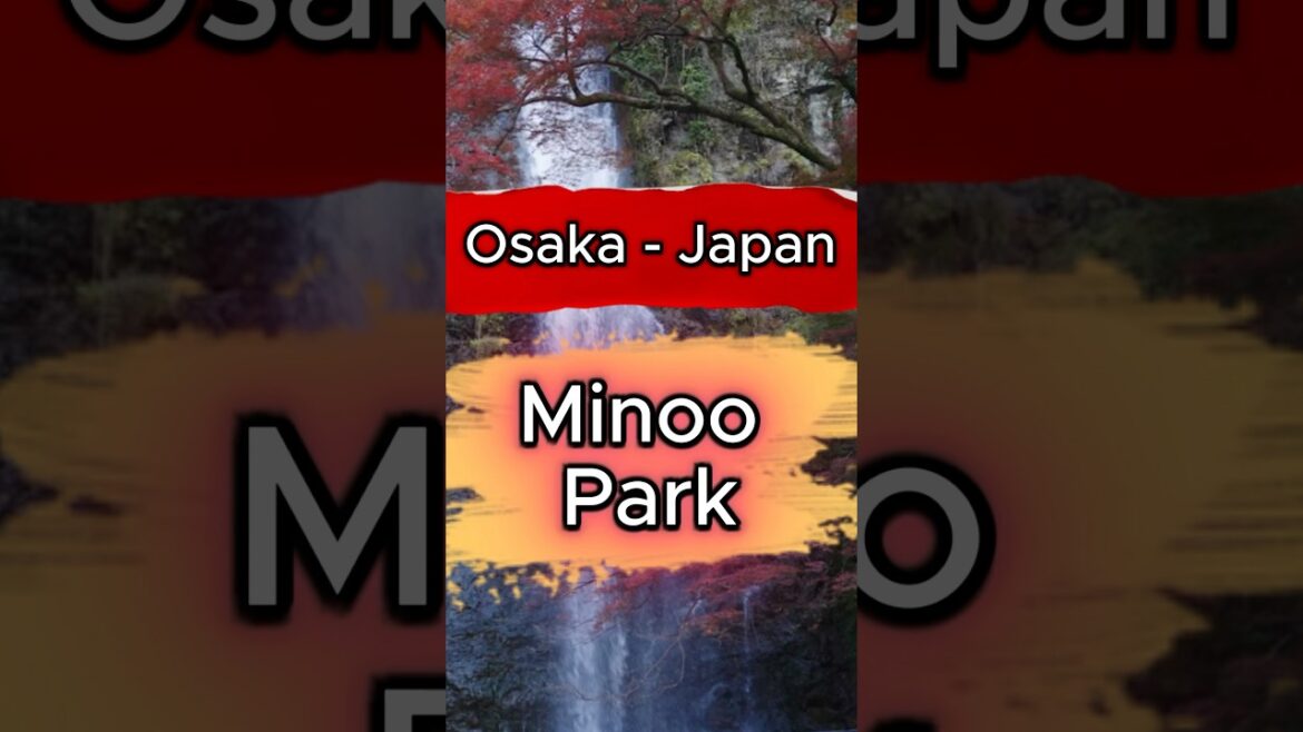 Minoo Park - Osaka - Japan - Surprising Spots Only Locals Know 🇯🇵 #travel #osaka #japan