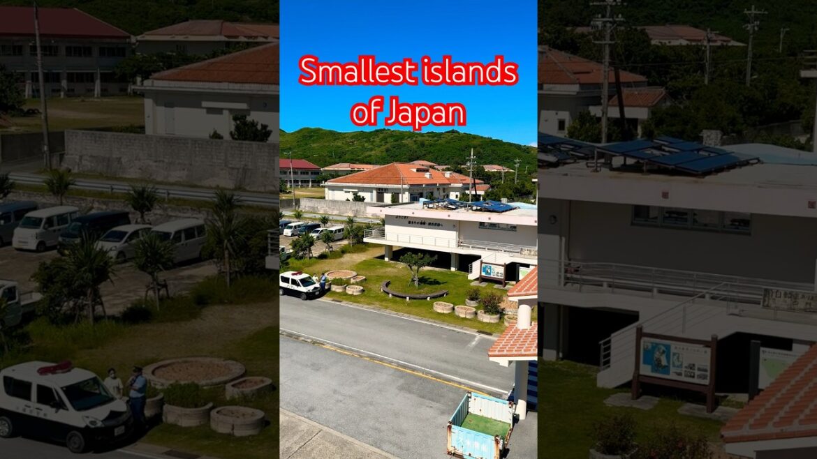 Tonaki island in Okinawa #japan #okinawa