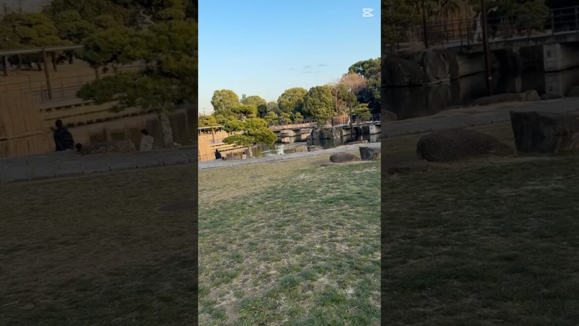 Kasai Rinkai Park and Winter Time with Family. #japan #tokyo #travel #photography #chiba #winter