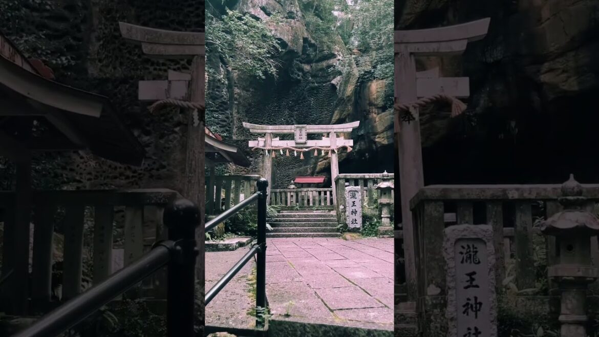 Takiou Shrine (Wakayama)/ 瀧王神社 #travel #旅行 #visitjapan #観光 #japan