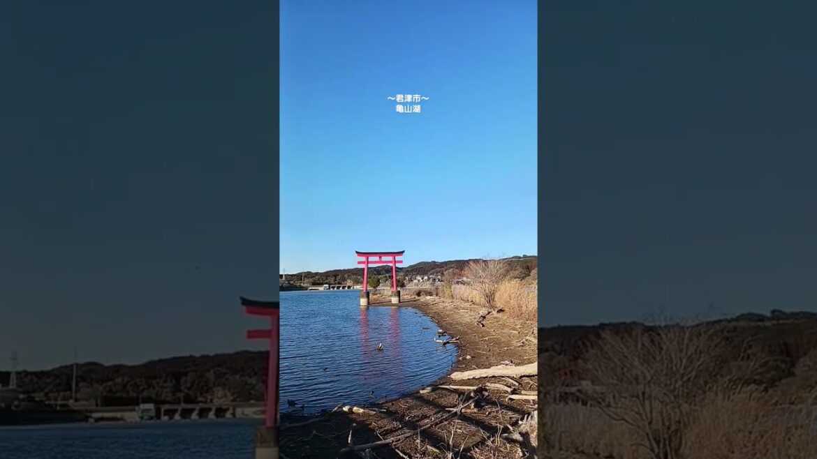 【君津市】亀山湖迄ドライブしてきた！#ドライブ#shorts_#shortsvideo#君津市#北山ゆい