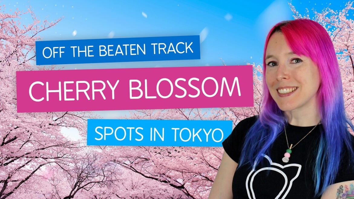 Off the Beaten Track CHERRY BLOSSOM Spots in Tokyo ๐ธ๐ธ๐ธ Sakura in Japan 2025 Off the Beaten Track CHERRY BLOSSOM Spots in Tokyo ๐ธ๐ธ๐ธ Sakura in Japan 2025