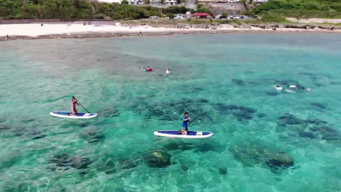 ドローン撮影（IMG 0260 TRIM）