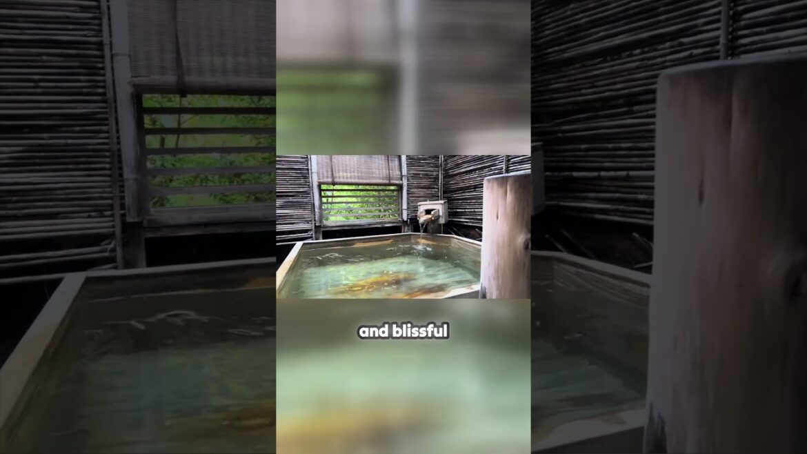 Discover the Healing Powers of Oncri’s Nuruyu | Experience Unmatched Relaxation in Oncri’s Nuruyu! Discover the Healing Powers of Oncri's Nuruyu | Experience Unmatched Relaxation in Oncri's Nuruyu!