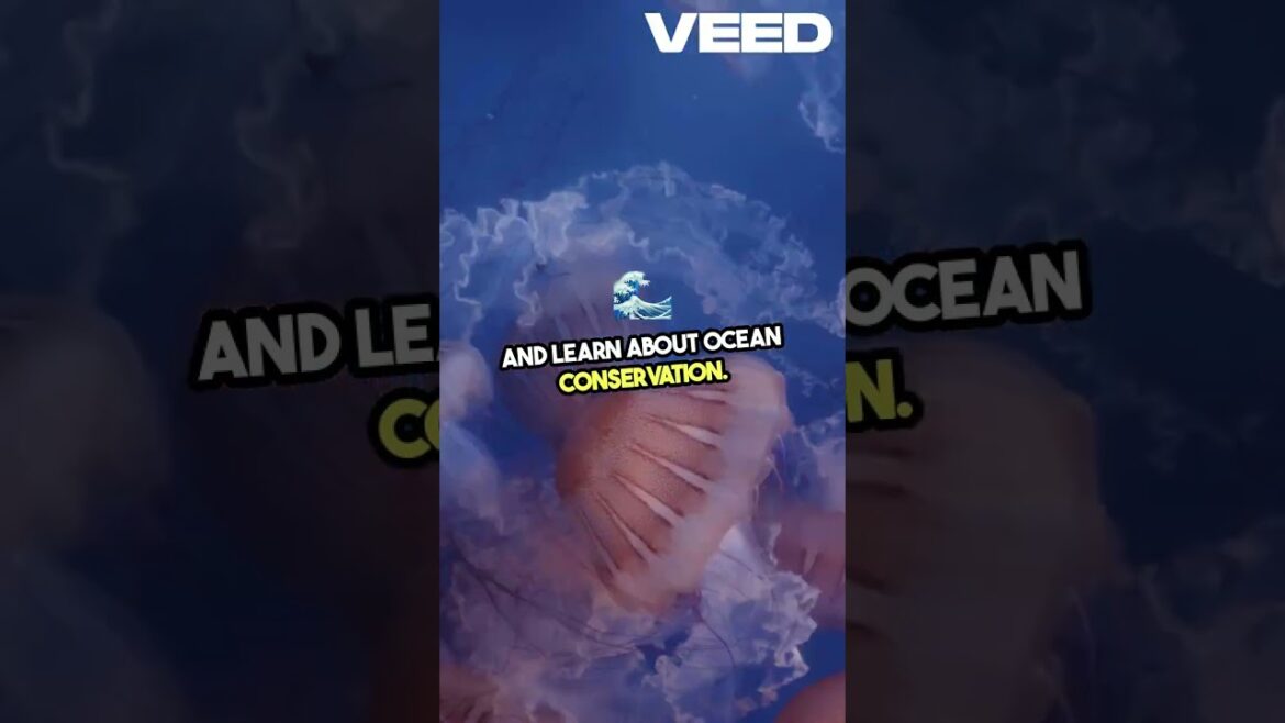 Discover the World's Most Stunning Aquariums!