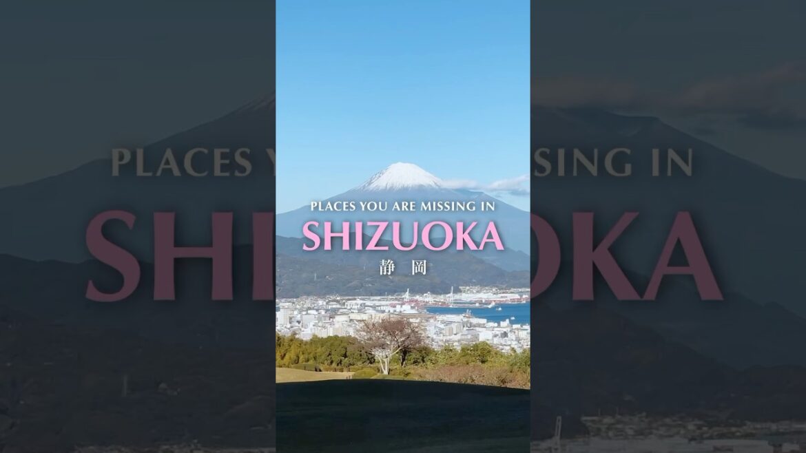 Walking the Old Tokaido: Exploring Nature and History in Shizuoka City｜JNTO
