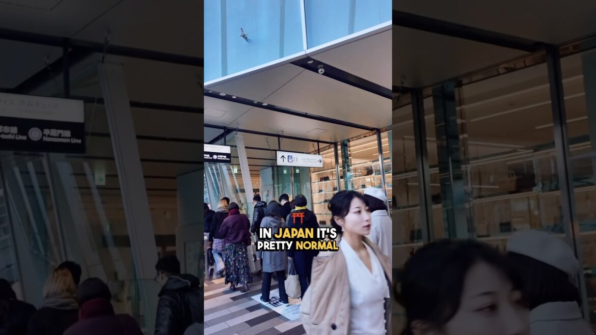 European elite would die to have