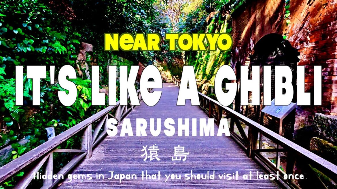 Just like Ghibli. A deserted island in Yokosuka,Salshima,tokyo hidden gems,japan travel,vlog