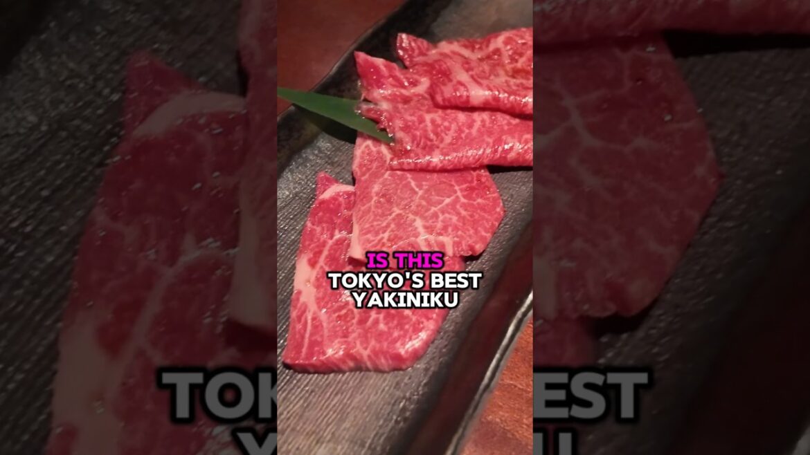Tokyo’s Hidden Yakiniku Spot Will Ruin All Other Beef for You 🥩🍣 #tokyo #foodie Tokyo's Hidden Yakiniku Spot Will Ruin All Other Beef for You 🥩🍣 #tokyo #foodie