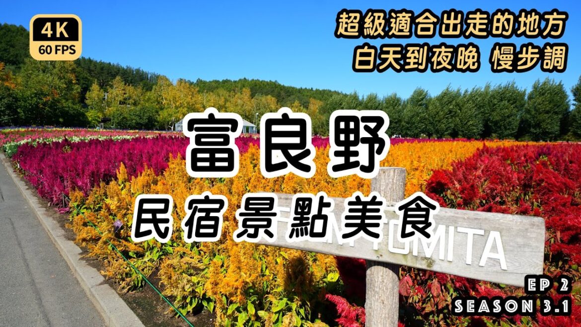 Mal｜〖秋道東EP2〗富田農場-哈密瓜與花田｜精靈露台-夜晚點燈小屋｜優質民宿開箱｜美食-在地特色咖啡廳  4K60p Travel