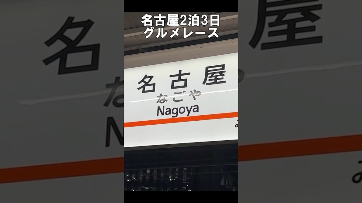 【名古屋ひとりグルメ9選】地元民に教えてもらった！絶対に行って欲しい名古屋名物食べ歩き！#名古屋グルメ#名古屋vlog