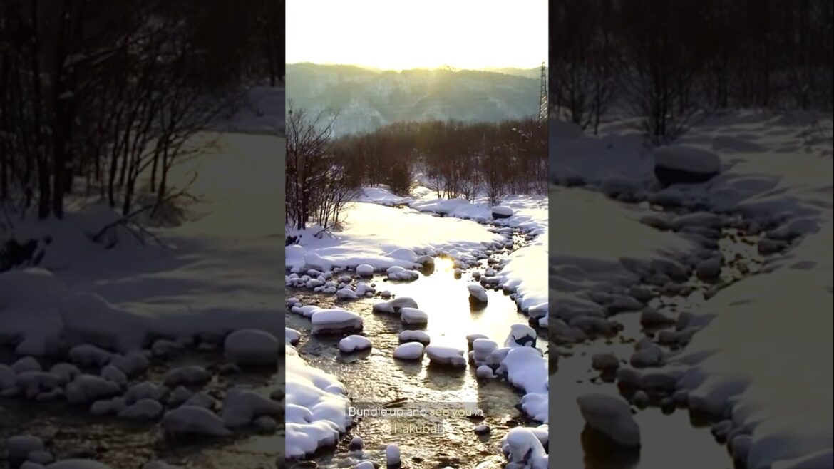 Hakuba’s Snow Paradise: Where Japan’s Alps Dazzle #japan #travel #hakuba #snow #powdersnow