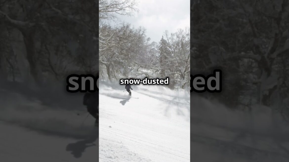 🌍 Explore beautiful places, enjoy local cuisines, and discover hidden gems!🎒#Travel #ExploreTheWorld