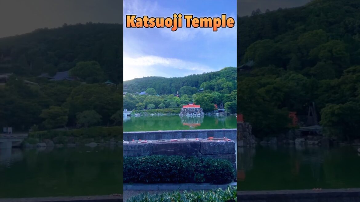 Katsuoji Temple in Osaka, Japan #japan #travel #trending #temple #shorts