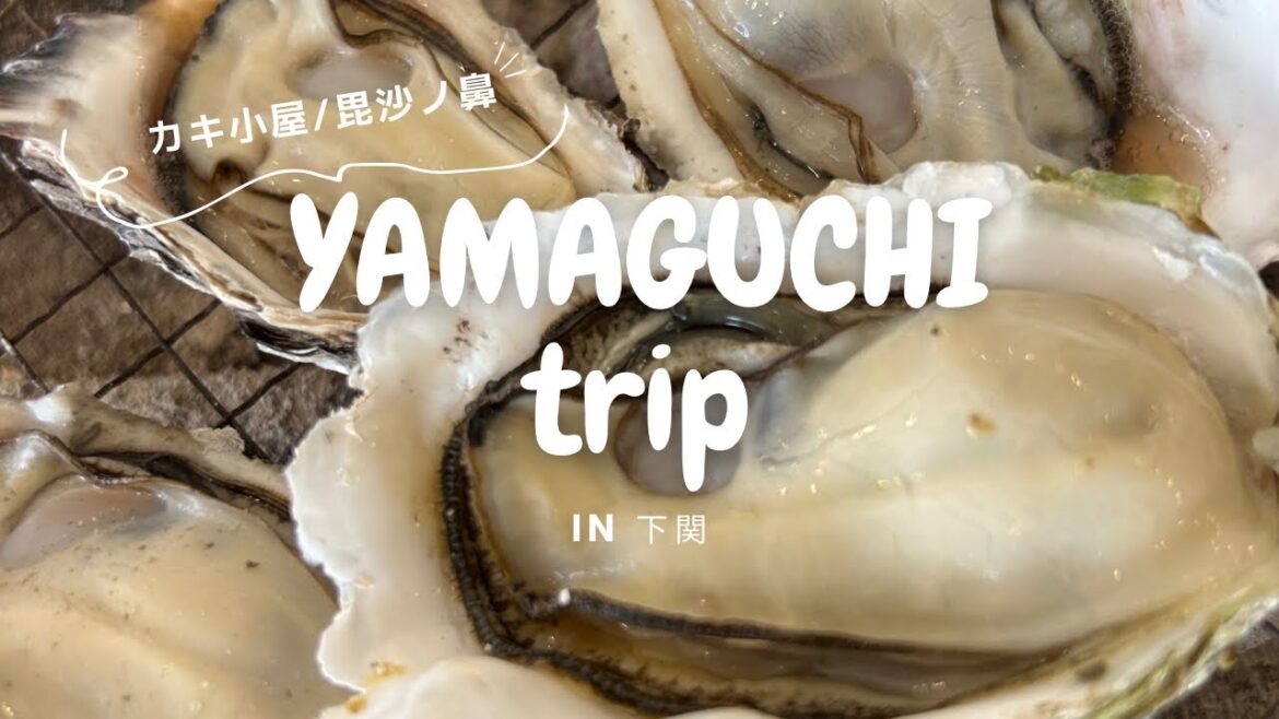 【下関vlog】下関で美味しい牡蠣を食べる🦪ハローキティ新幹線🚄毘沙ノ鼻🌅