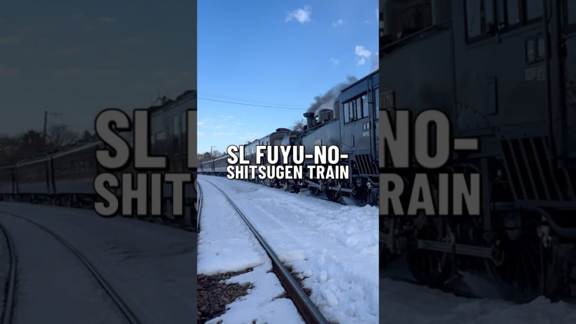 SL Fuyu-No-Shitsugen Train #japan #travel #winter #hokkaido #kushiro #train #explore #hokkaidojapan