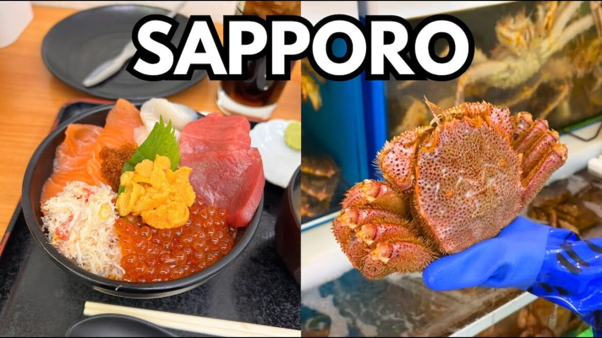 LIFE IN JAPAN 🇯🇵 Sapporo Trip