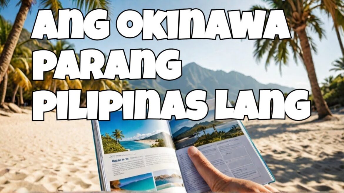 Okinawa: The Travel Guide You Didn't Know You Needed