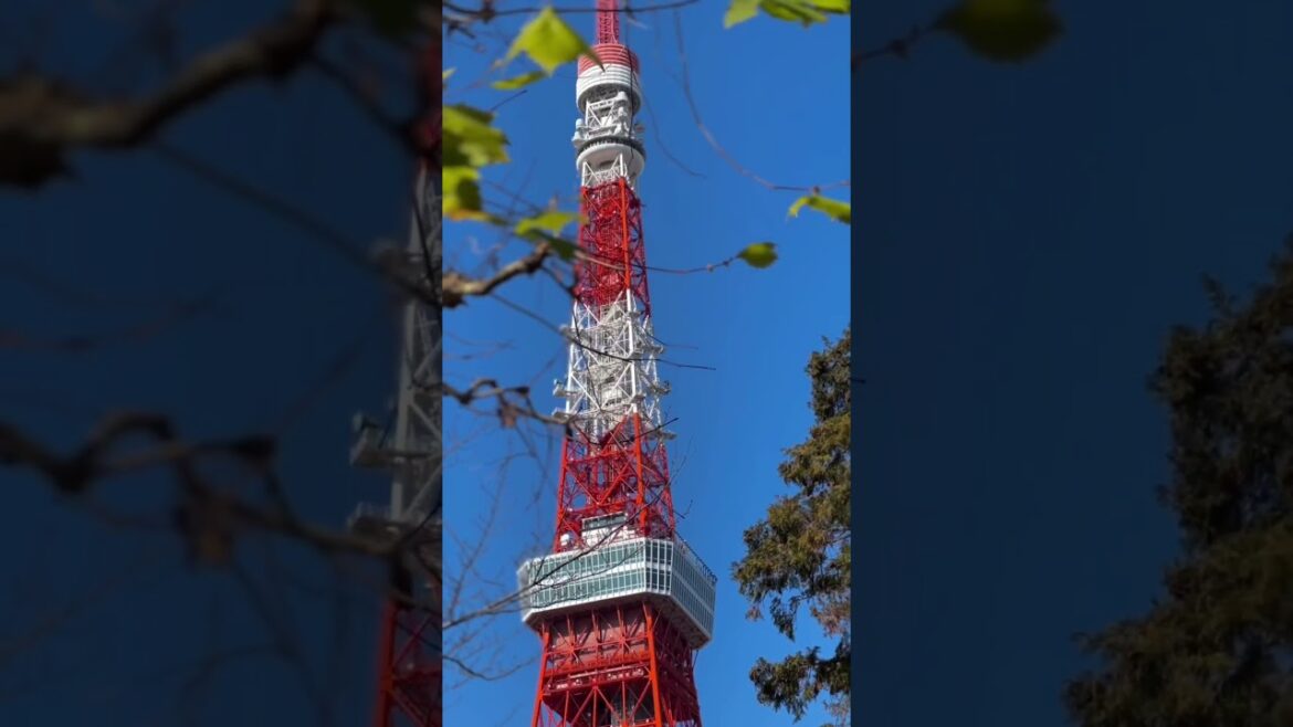 Lost in Tokyo 🇯🇵 | DefineAdam