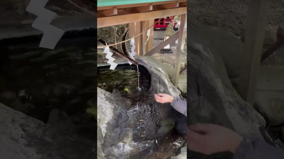 【熱海観光】おじさんが來宮神社の御神水に触れてみた…