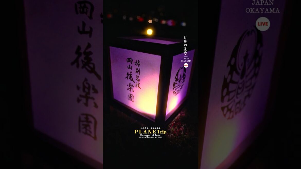 夜の日本庭園が素敵すぎた！！ #japantravel #illumination #イルミネーション #絶景 #旅行 #japan #travel