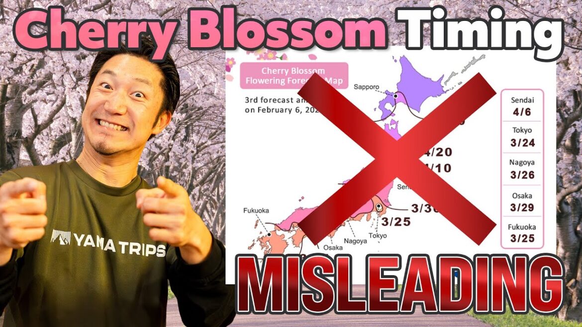 2025 Cherry Blossom Timing in Japan: When and Where? 2025 Cherry Blossom Timing in Japan: When and Where?