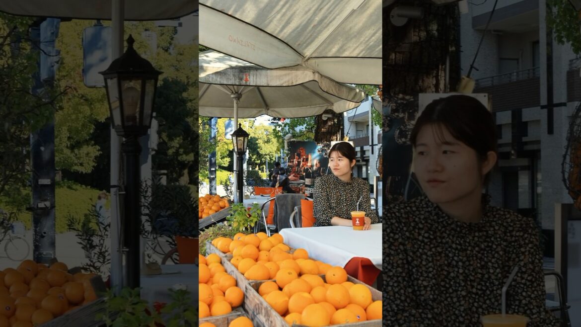 THE BEST PLACES TO CHILL IN HIROSHIMA near the Peace Memorial Park｜JNTO